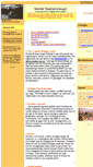 Mobile Screenshot of boekenvreugd.nl